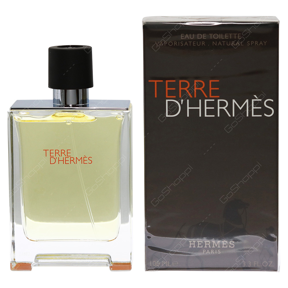 Hermes Terre De Hermes For Men Eau De Toilette 100ml